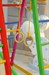 ДСК PERFETTO KIDS "Pappagallo" цвет Allegrо PS-231