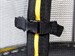 Батут SportElite 12FT 3,66м с защитной сеткой (внутрь) с лестницей - фото 103408