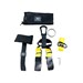 Тренажер универсальный TRX TRAINER PRO P3 - фото 114909
