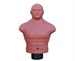 Манекен Adjustable Punch Man-Medium (беж) TLS-H - фото 121987