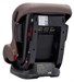 DAIICHI First 7™ Plus (Organic Brown) , +7(800) 551-96-04, Топотунчик.ру