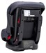 DAIICHI First 7™ Plus (Charcoal), +7(800) 551-96-04, Топотунчик.ру
